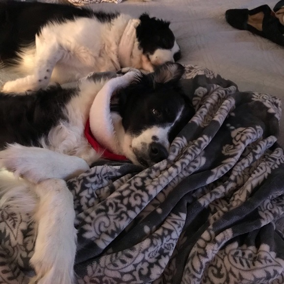 Meet your Posher, Janice - Picture 3 of 8